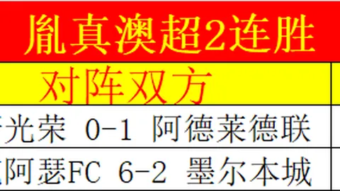 激战19胜12！火箭对决灰熊，NBA巅峰对决数据揭秘！