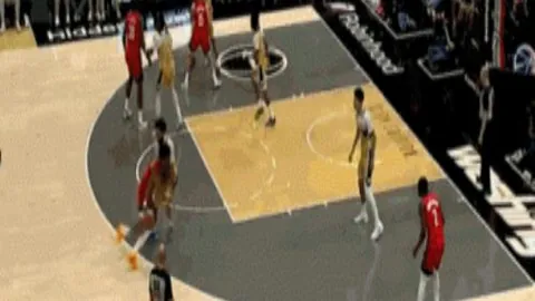 湖人球迷狂致谢，哈里森回应：无谢意。