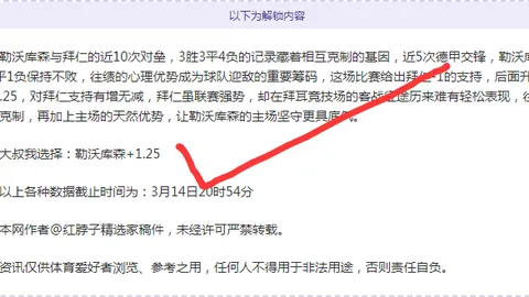 巴西甲瓦斯科达伽马连胜预测：期号专家质合分析前区十码