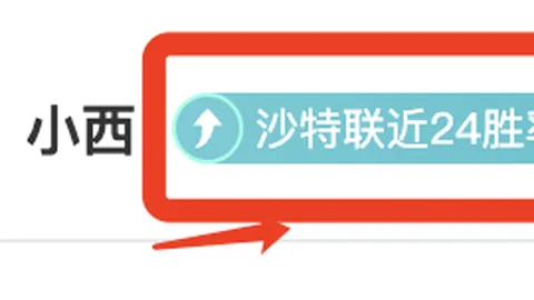 多特引援策略契合桑乔交易，性价比高分析